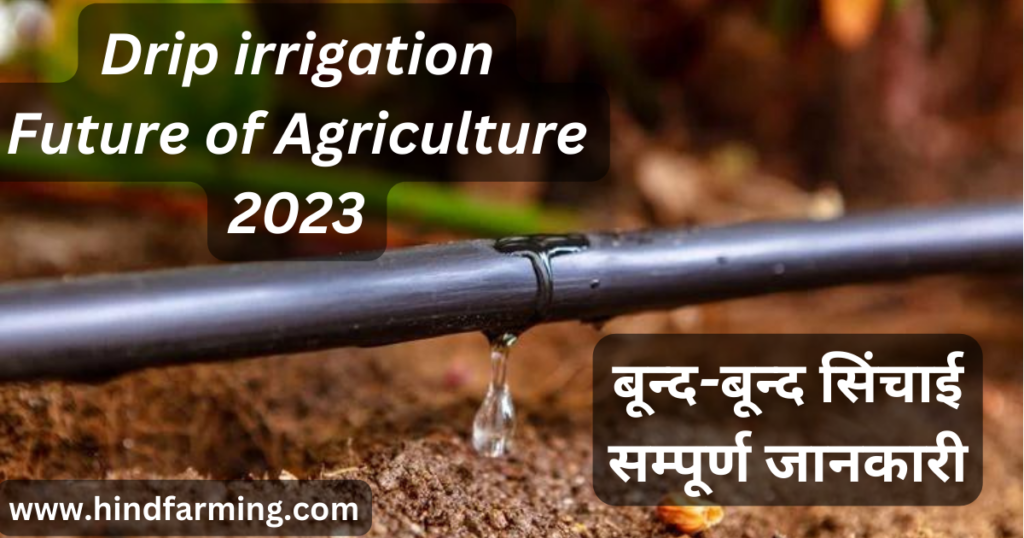 drip irrigation