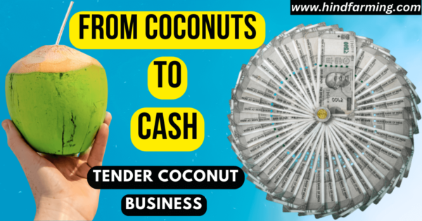 Tender Coconut