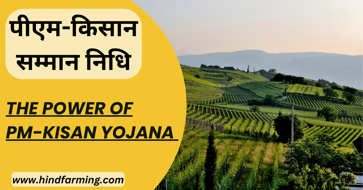 Pm Kisan Yojana
